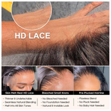 【Felecia】Real HD Lace Glueless Body Wave 4X4 Lace Closure Wig 100% Human Hair Wigs Natural Hairline Slightly Pre Plucked BEAUDIVA