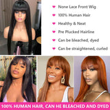 【Cora】 Bang Wig Straight Human Hair Wig Machine Made Wig With Baby Hair