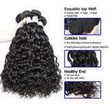Beaudiva 10A Water Wave Hair Bundles Human Hair Bundles With Lace Closure Human Hair Weaves