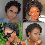 Beaudiva Short Curly Pixie Cut Wig Human Hair Wigs Bob Hairline 13X1 Lace Wigs