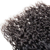 Beaudiva Brazilian Virgin Human Hair Water Wave 4 Bundles Deal